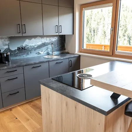 Apartment Gleiming Schladming